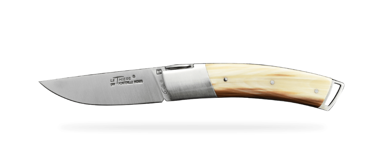 Le Thiers ® Gentleman knife cow horn tip