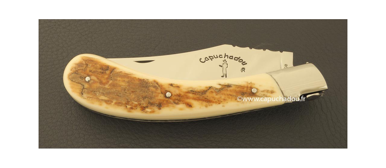Le "Capuchadou-Guilloché" 12 cm, ivoire de Mammouth fossile