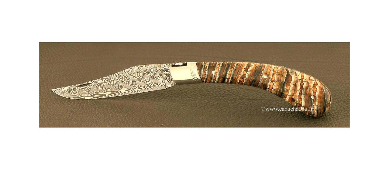 "Le Capuchadou-Guilloché" 12 cm hand made knife, Molar tooth of mammoth & Damascus