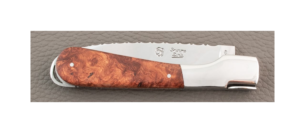 Corsical knife with Amboyna burl handle and stainess steel blade