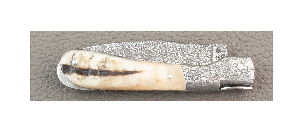 Corsican Pialincu knife Damascus range Real Ram Horn