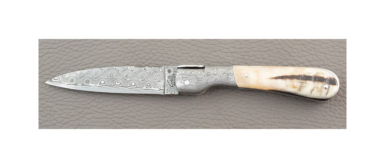 Corsican Pialincu knife Damascus range Real Ram Horn