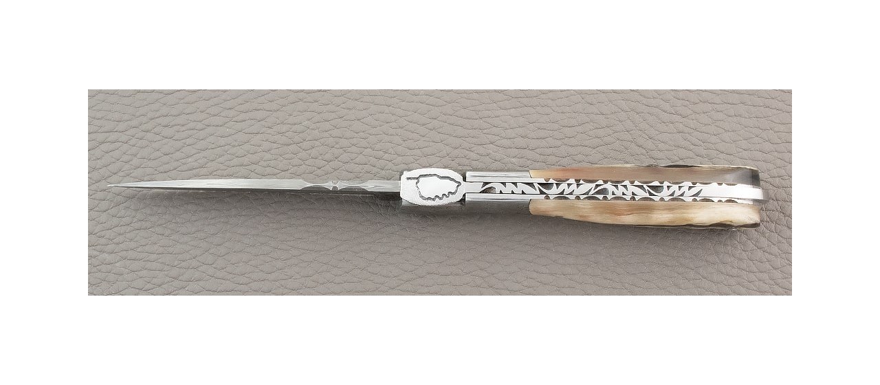 Corsican Pialincu knife Damascus range Real Ram Horn