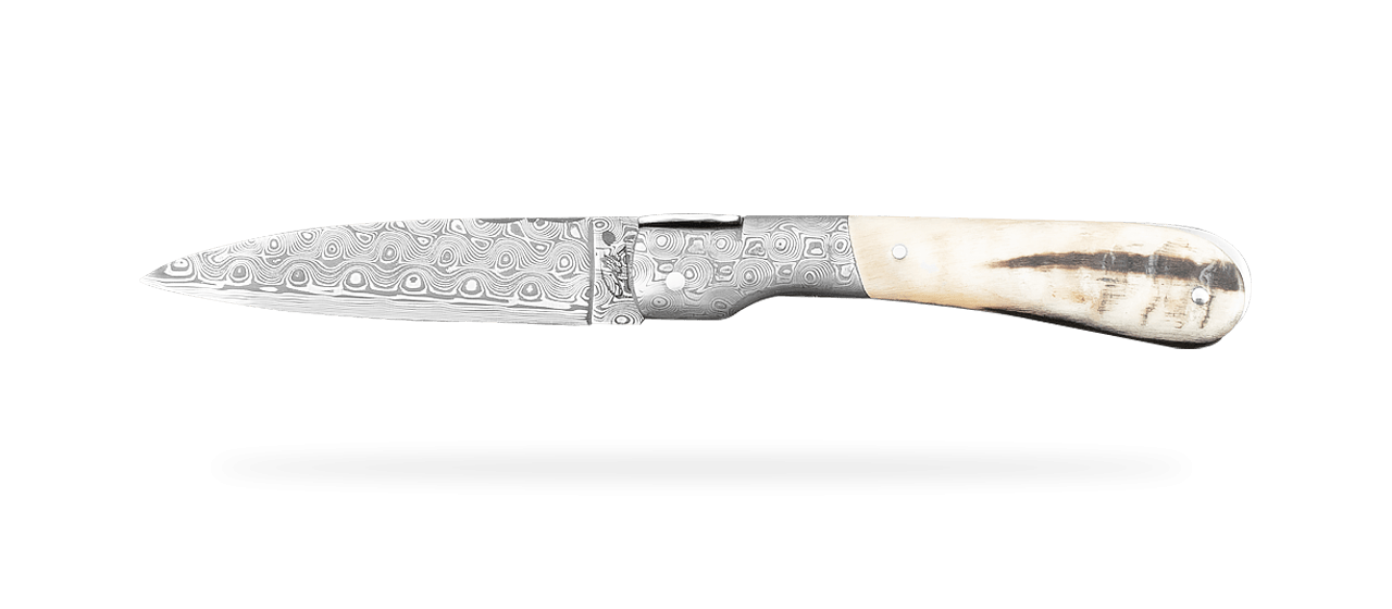 Corsican Pialincu knife Damascus range Real Ram Horn