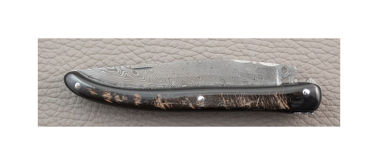 Laguiole Knife Traditional 11 cm Damascus range full handle Buffalo Bark