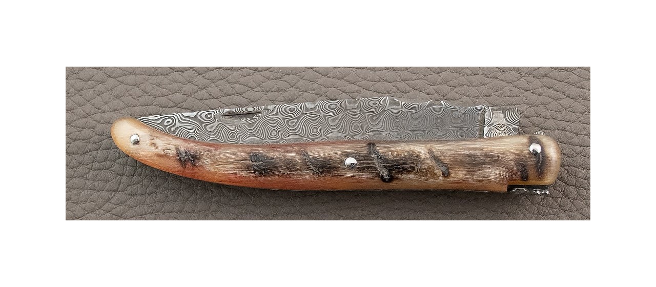 Laguiole Knife Traditional 11 cm Damascus range full handle Ram Horn