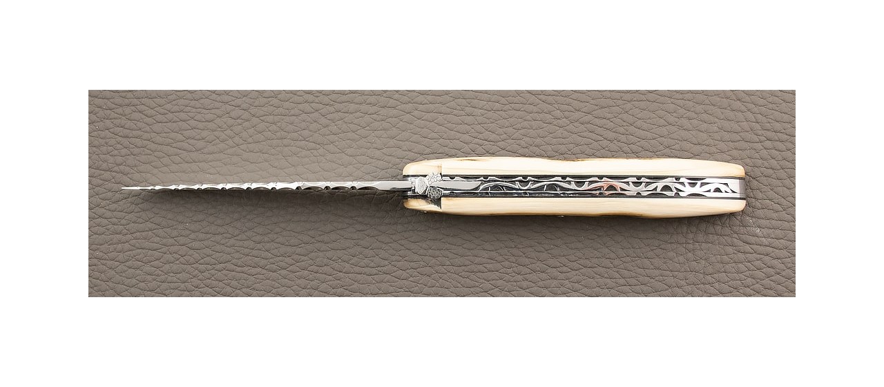 Laguiole Knife Traditional 11 cm Guilloche Range full Fossilized Mammoth Ivory