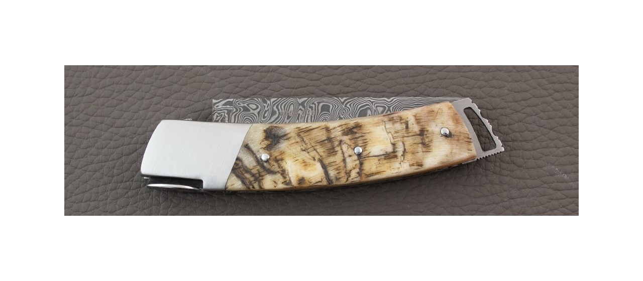 Le Thiers ® Gentleman knife Damascus Ram Horn