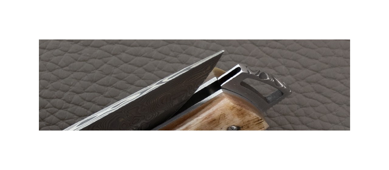 Le Thiers ® Gentleman knife Damascus Ram Horn