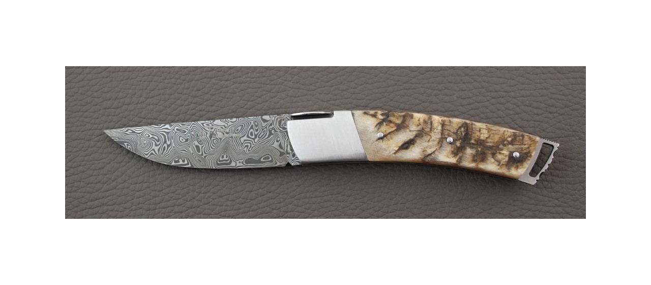 Le Thiers ® Gentleman knife Damascus Ram Horn