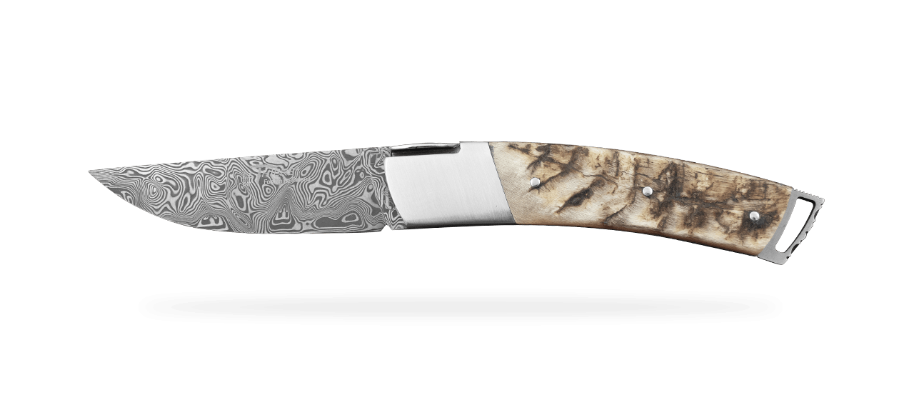 Le Thiers ® Gentleman knife Damascus Ram Horn