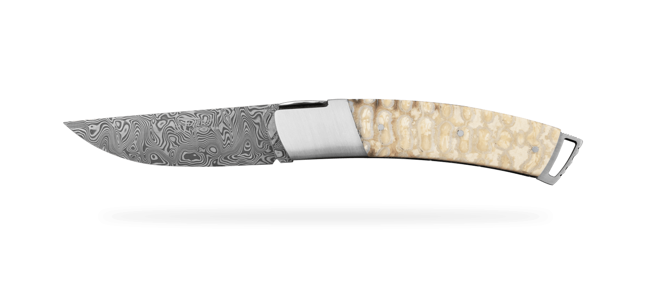 Le Thiers® Gentleman Damascus White Molar tooth of mammoth