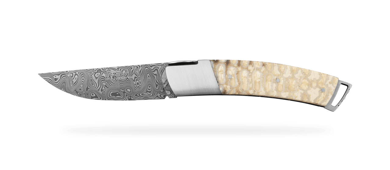 Le Thiers ® Gentleman knife Damascus White Molar tooth of mammoth