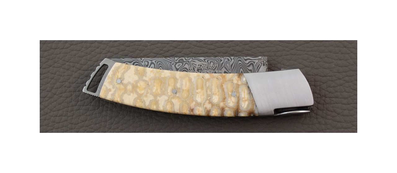 Couteau Le Thiers ® Gentleman Damas Molaire de Mammouth blanche