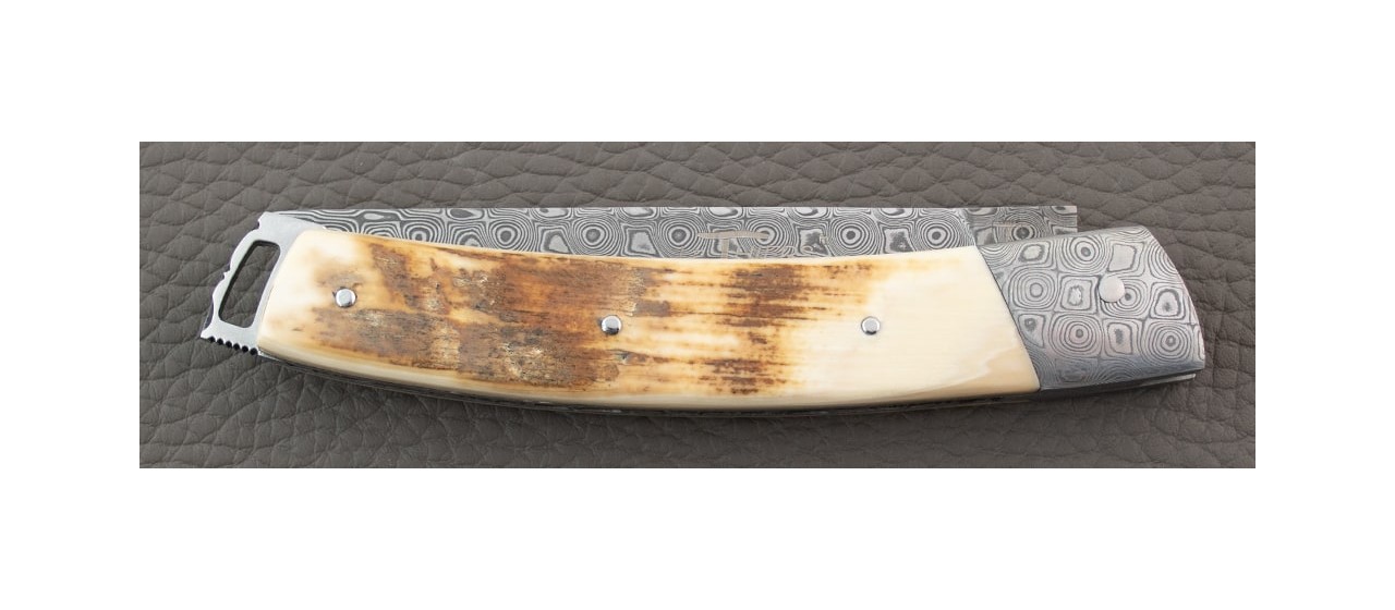 Le Thiers® Nature Damascus Mammoth Ivory