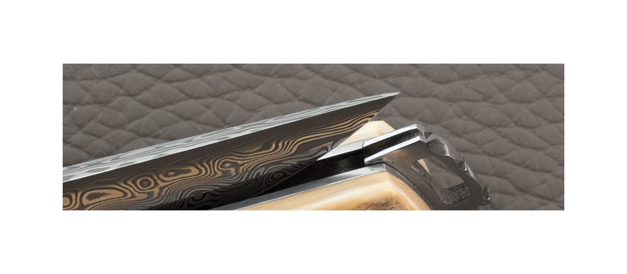 Le Thiers® Nature Damascus Mammoth Ivory