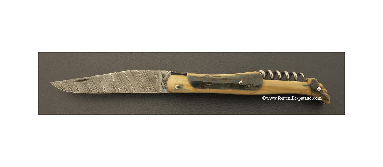 Laguiole Knife Traditional 12 cm Collection Blue mammoth ivory Delicate file work