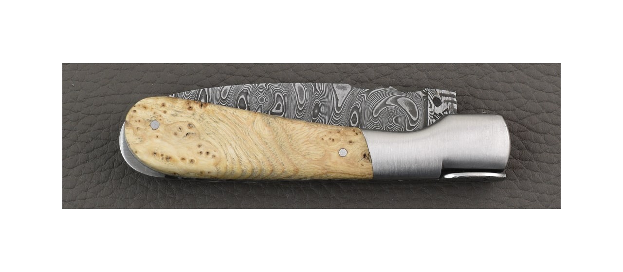 Corsican Pialincu knife Damascus range Ash burl