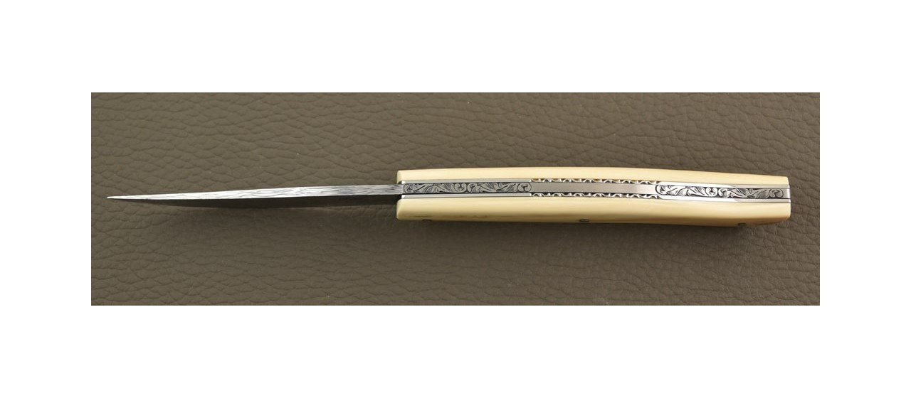 Löfgren Damascus, Brown mammoth knife by Jérôme Latreille