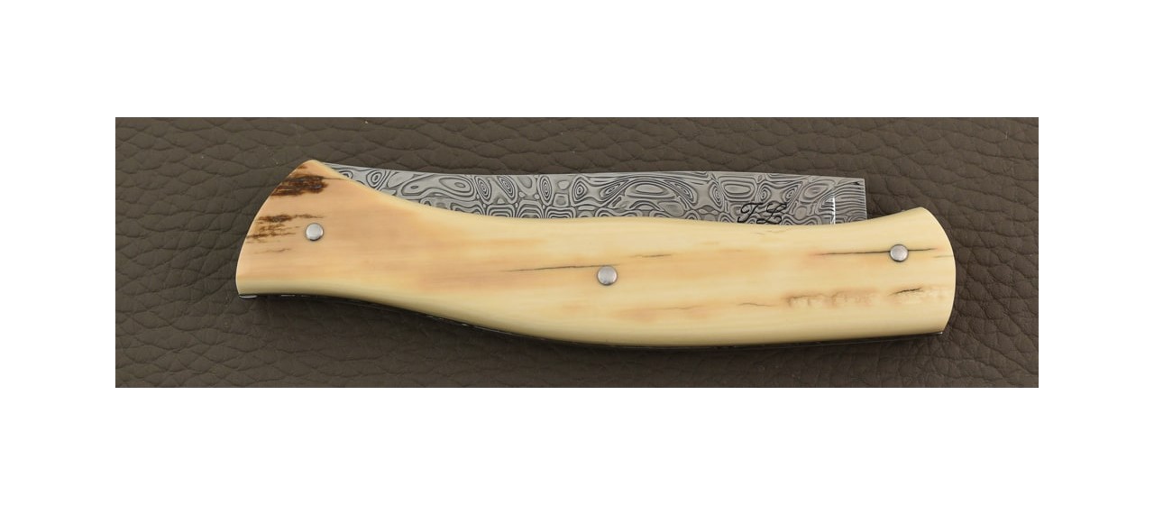 Löfgren Damascus, Brown mammoth knife by Jérôme Latreille