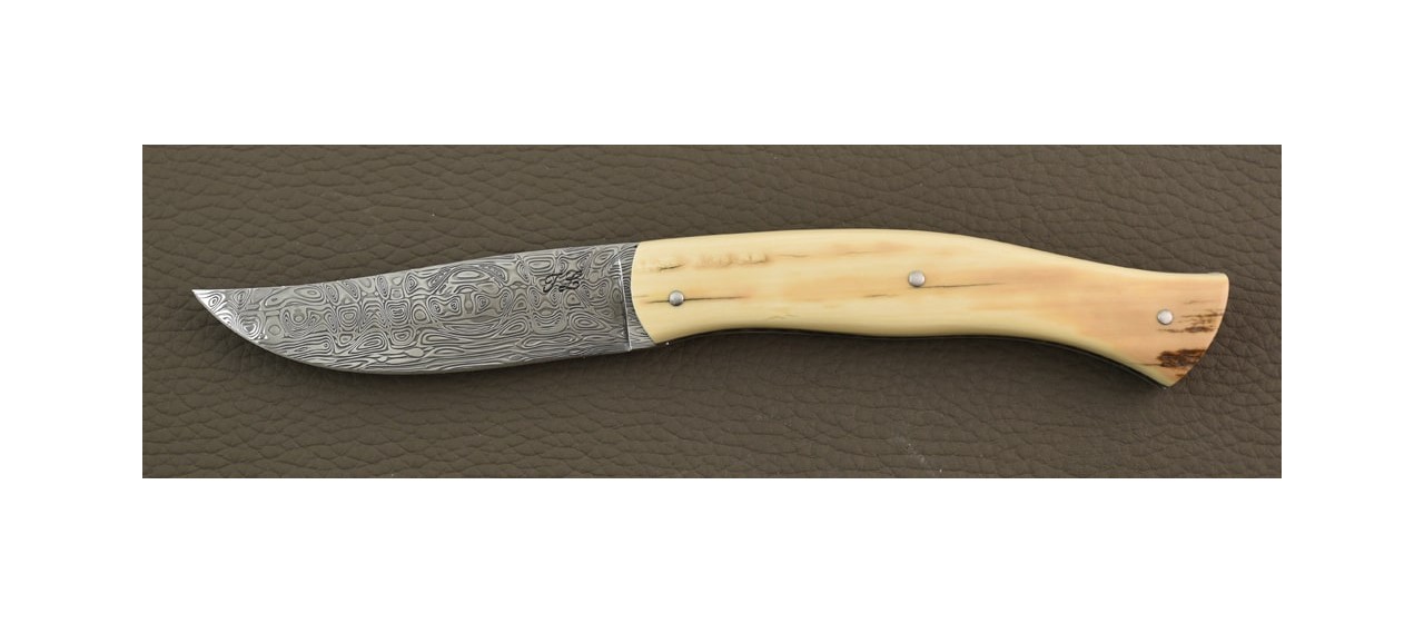 Löfgren Damascus, Brown mammoth knife by Jérôme Latreille