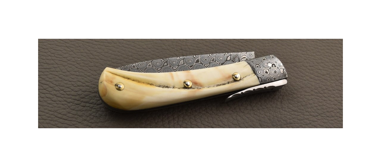 Couteau corse et lame damas avec un manche en Phacochère