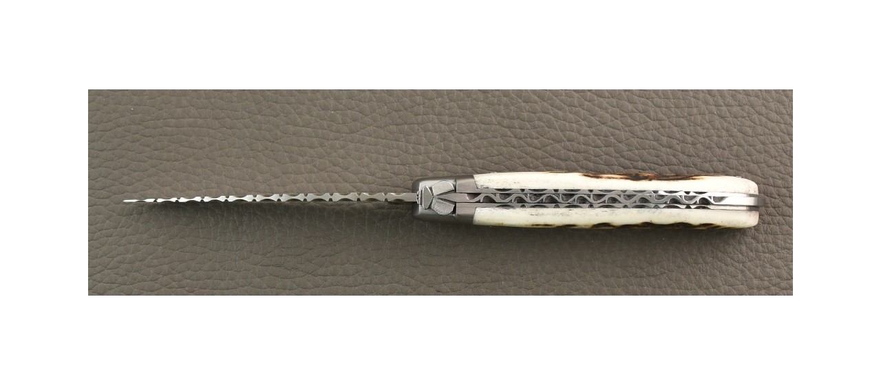 French laguiole knife guilloché le Pocket Stag