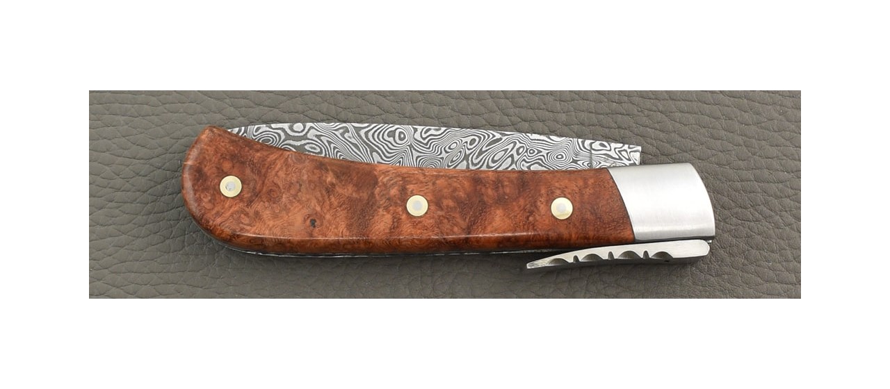 Amboyna burl and damascus corsican knife