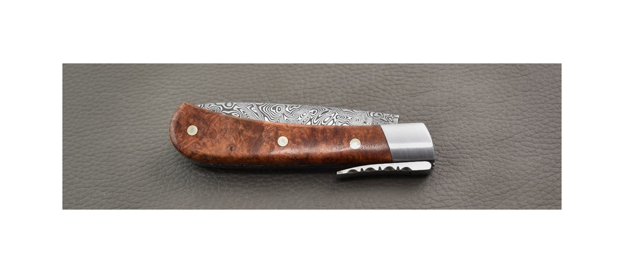 Amboyna burl and damascus corsican knife