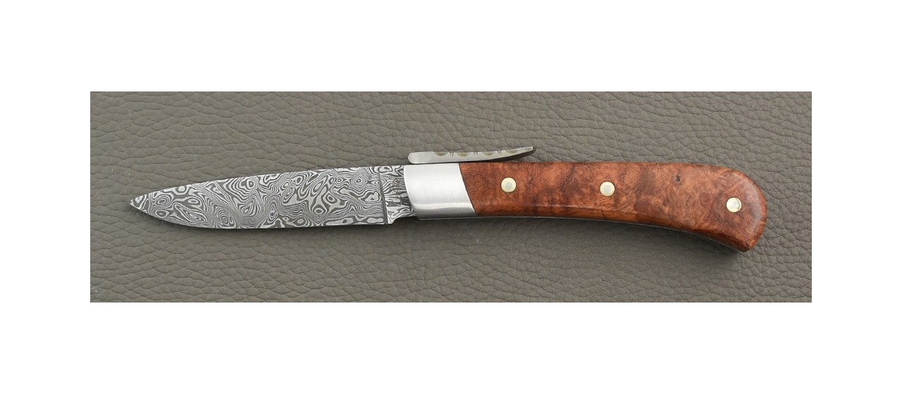 Amboyna burl and damascus corsican knife