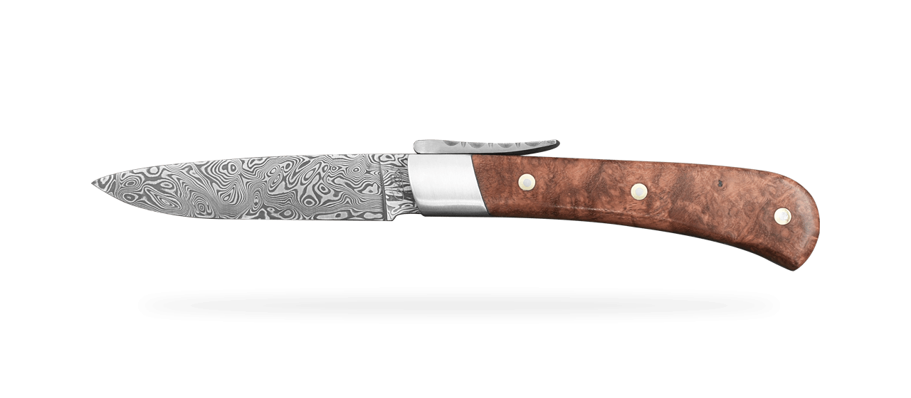 Amboyna burl and damascus corsican knife