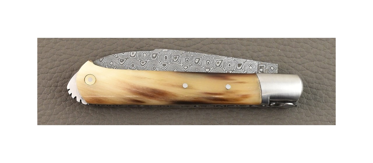 5 Coqs knife Damascus Range Horn tip