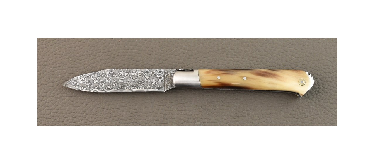 5 Coqs knife Damascus Range Horn tip