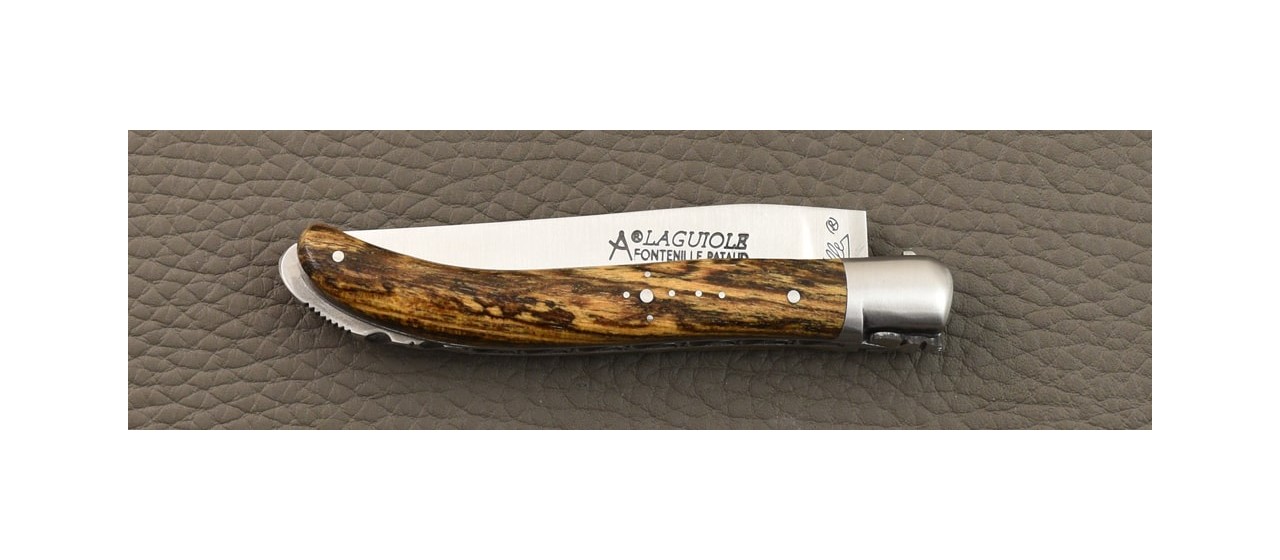 Laguiole XS Classic Range Bocote knife