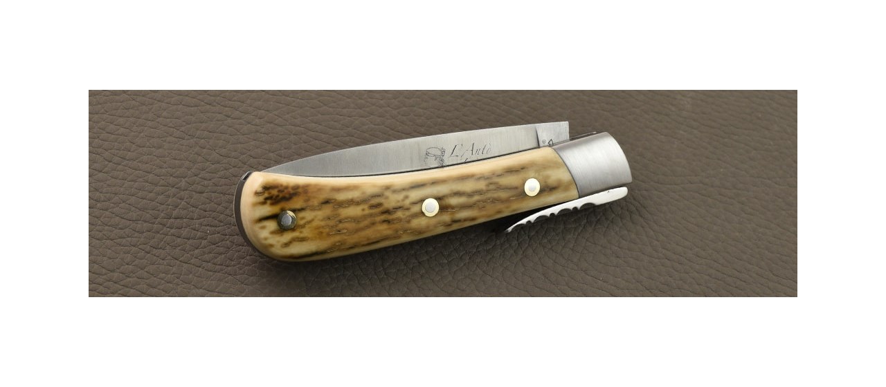 L' Antò Classic Range Brown fossilized Mammoth knife