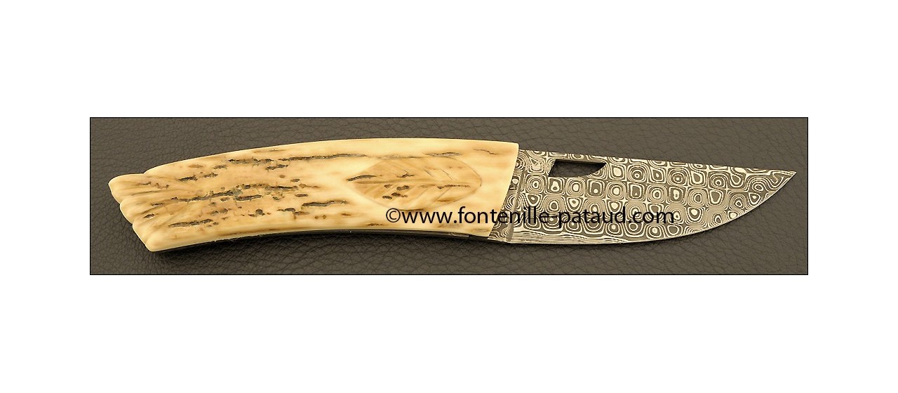 Le Thiers Knife Damascus Range The leaf Mammoth ivory