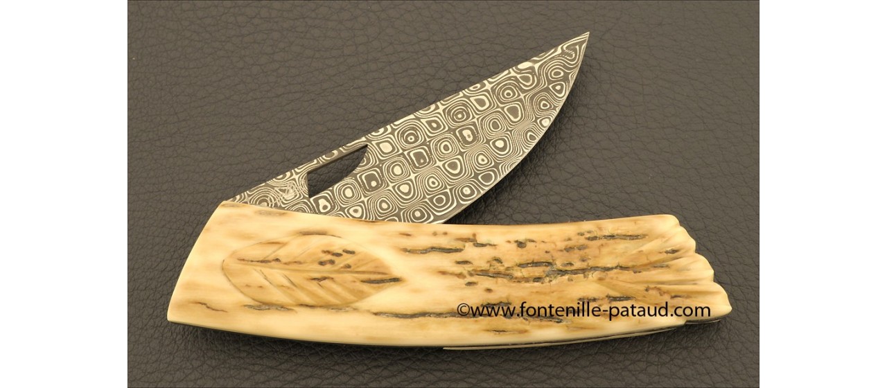 Le Thiers Knife Damascus Range The leaf Mammoth ivory