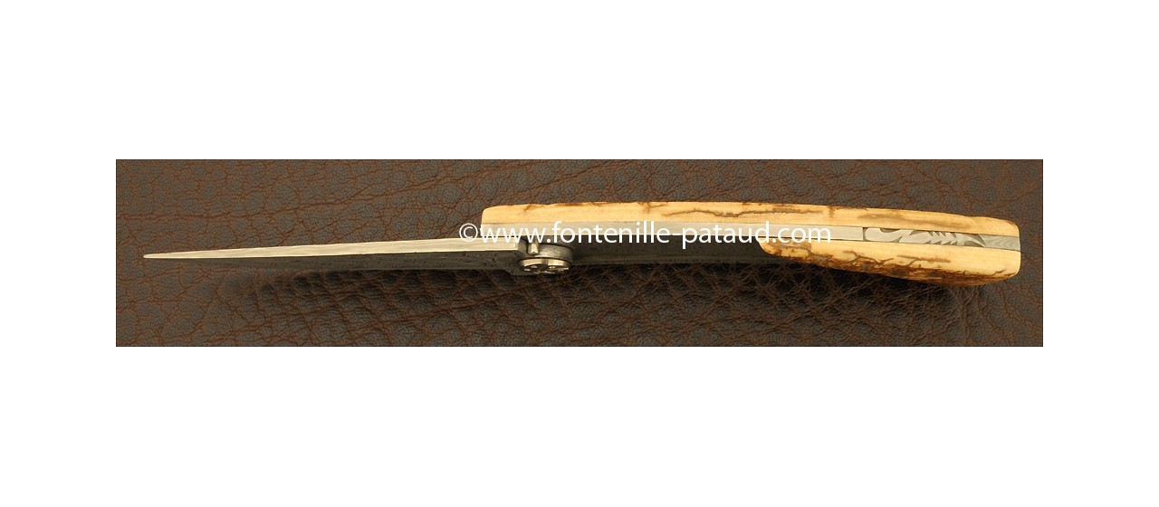 Couteau Le Thiers Damas Mammouth fossile