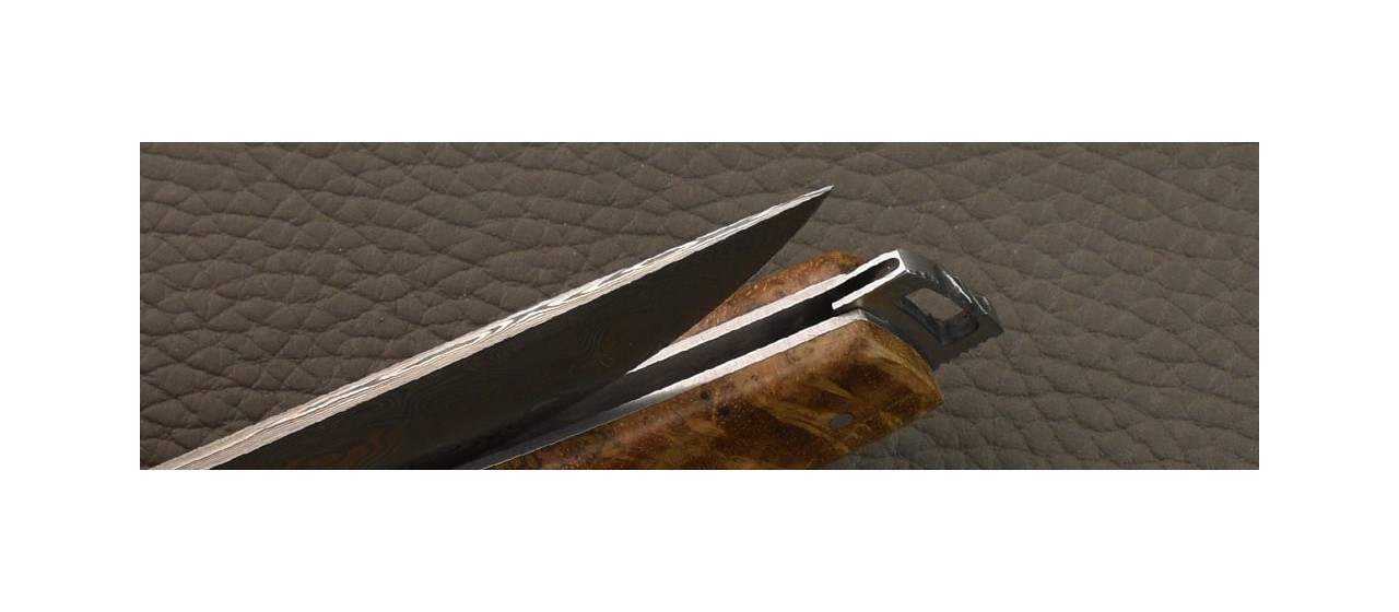 Le Thiers® Nature Damascus Full handle Teak burl