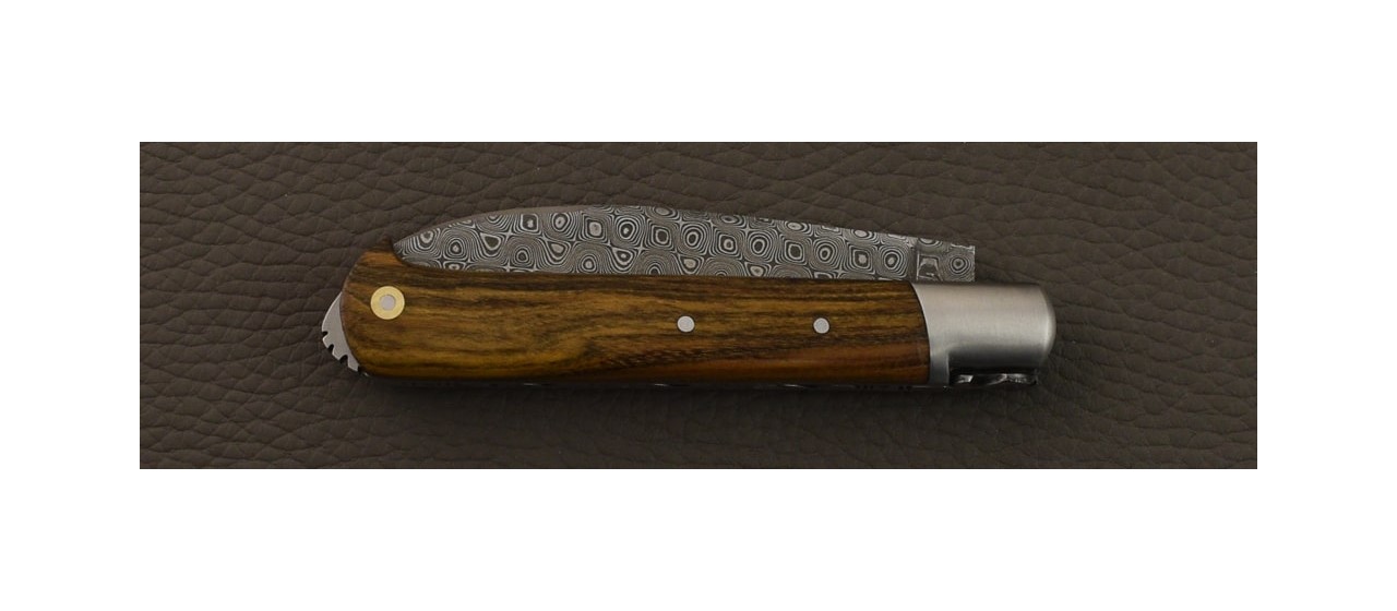 5 Coqs knife Damascus Range Pistachio wood