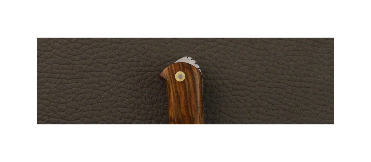 5 Coqs knife Damascus Range Pistachio wood