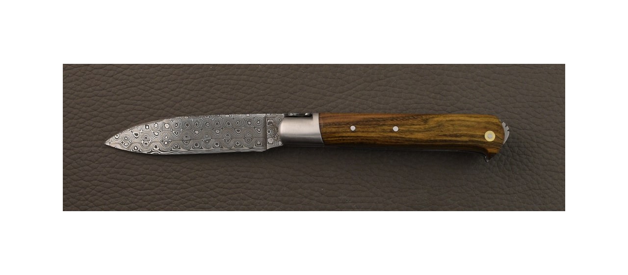 5 Coqs knife Damascus Range Pistachio wood