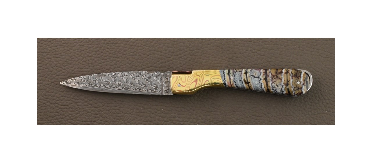 Sperone Corse Guilloché Damas Molaire de mammouth bleue et mitre en Mokume-Gane