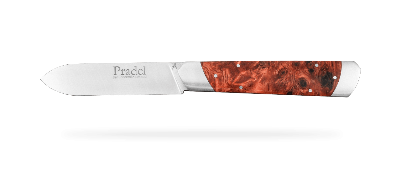 Le Pradel Stabilized red poplar burl