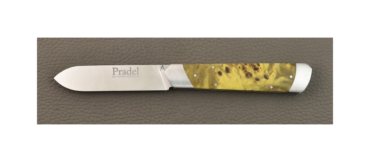 Le Pradel Stabilized green poplar burl