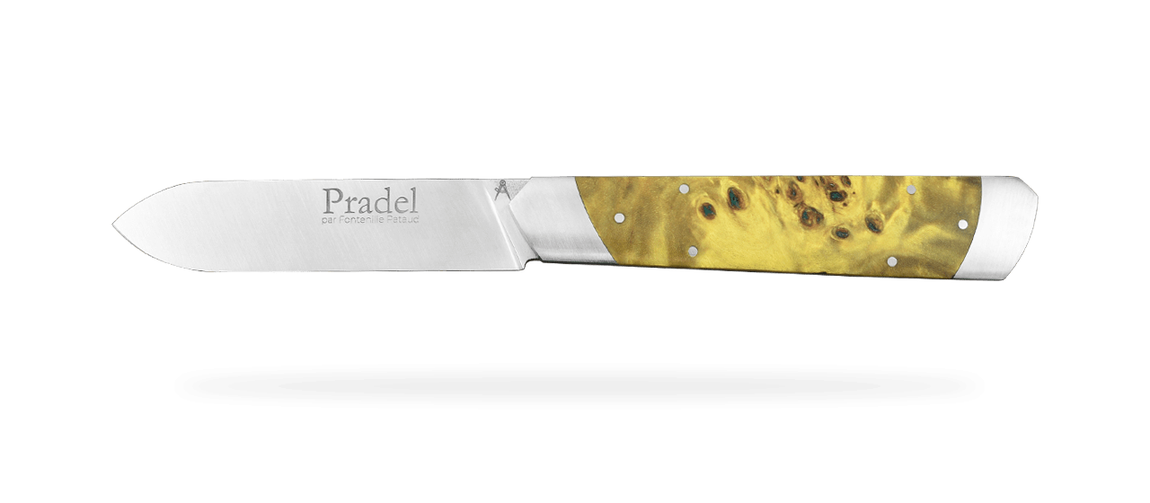 Le Pradel Stabilized green poplar burl