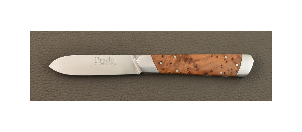 Le Pradel Stabilized Thuya burl