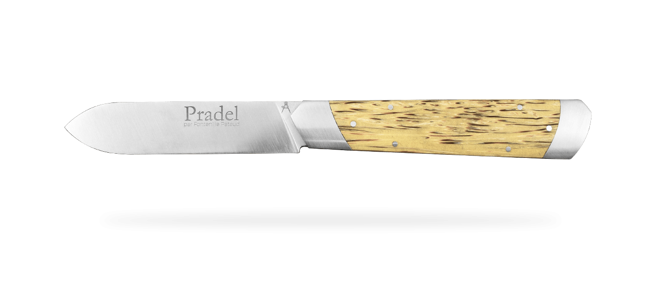 Le Pradel Stabilized yellow palm tree