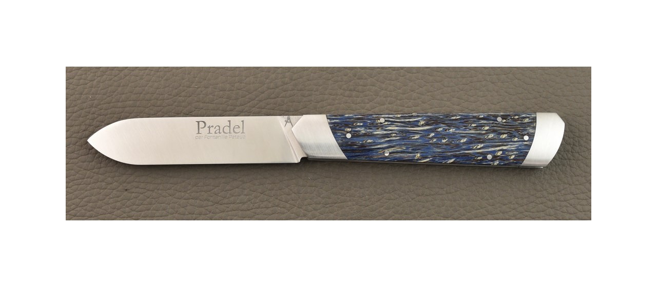 Le Pradel Stabilized blue palm tree