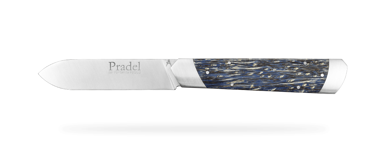 Le Pradel Stabilized blue palm tree